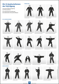 Die 15 Ausdrucksformen des Taiji Qigong Poster von Guorui,  Jiao, Hildenbrand,  Gisela
