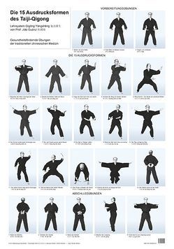 Die 15 Ausdrucksformen des Taiji Qigong Poster von Hildenbrand,  Gisela