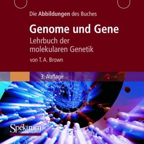 Die Abbildungen des Buches „Genome und Gene“ von Brown,  T. A., Herweg,  Frank, Seidler,  Lothar