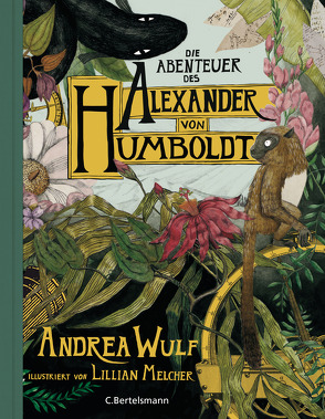 Die Abenteuer des Alexander von Humboldt von Werbeck,  Gabriele, Wulf,  Andrea