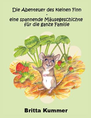 Die Abenteuer des kleinen Finn – eine spannende Mäusegeschichte für die ganze Familie von Kummer,  Britta
