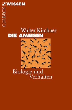 Die Ameisen von Kirchner,  Walter