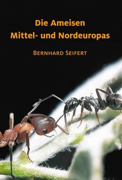 Die Ameisen Mittel- und Nordeuropas von Dr. Seifert,  Bernhard