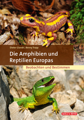 Die Amphibien und Reptilien Europas von Glandt,  Dieter, Trapp,  Benny