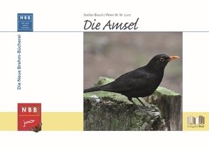 Die Amsel von Bosch,  Stefan, Lurz,  Peter W. W.