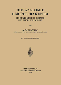 Die Anatomie der Pleurakuppel von Hafferl,  Anton