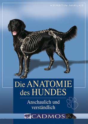 Die Anatomie des Hundes von Mielke,  Kerstin