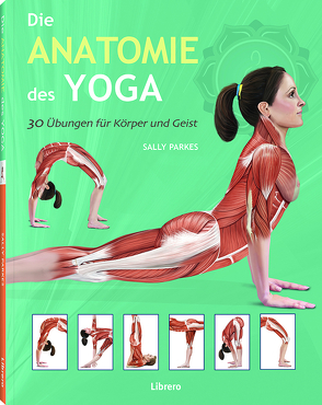 Die Anatomie des Yoga von Ashwell,  Ken