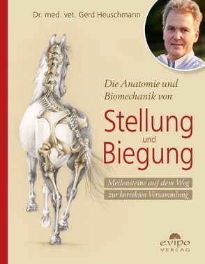 Die Anatomie und Biomechanik von Stellung und Biegung von Balkenhol,  Klaus, Heuschmann,  Gerd