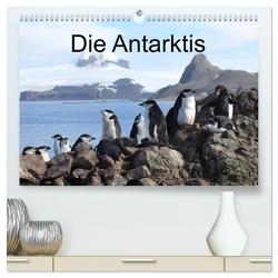 Die Antarktis (hochwertiger Premium Wandkalender 2024 DIN A2 quer), Kunstdruck in Hochglanz von Brack,  Roland