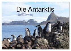 Die Antarktis (Wandkalender 2024 DIN A2 quer), CALVENDO Monatskalender von Brack,  Roland