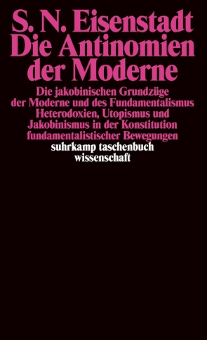 Die Antinomien der Moderne von Eisenstadt,  Shmuel N., Stauth,  Georg