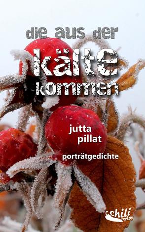 die aus der kälte kommen von Pillat,  Jutta