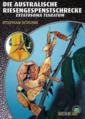 Die Australische Riesengespenstschrecke von Schorn,  Stephan