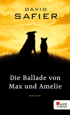 Die Ballade von Max und Amelie von Safier,  David