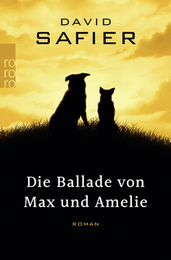 Die Ballade von Max und Amelie von Safier,  David