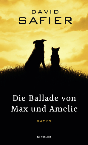 Die Ballade von Max und Amelie von Safier,  David