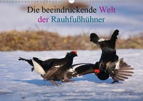 Die beeindruckende Welt der Rauhfußhühner (Wandkalender 2019 DIN A3 quer) von Erlwein,  Winfried
