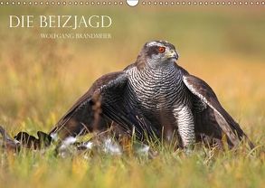 Die Beizjagd (Wandkalender 2018 DIN A3 quer) von Brandmeier,  Wolfgang