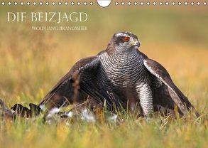 Die Beizjagd (Wandkalender 2018 DIN A4 quer) von Brandmeier,  Wolfgang