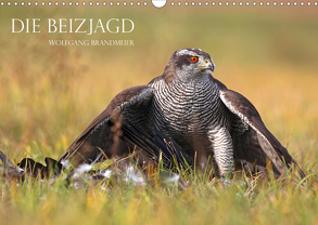 Die Beizjagd (Wandkalender 2020 DIN A3 quer) von Brandmeier,  Wolfgang