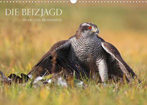 Die Beizjagd (Wandkalender 2022 DIN A3 quer) von Brandmeier,  Wolfgang