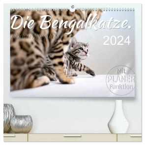 Die Bengalkatze. Edition Jungtiere (hochwertiger Premium Wandkalender 2024 DIN A2 quer), Kunstdruck in Hochglanz von Banker,  Sylvio