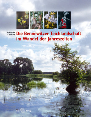 Die Bennewitzer Teichlandschaft im Wandel der Jahreszeiten von Kohlhase,  Gottfried
