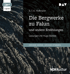 Die Bergwerke zu Falun und andere Erzählungen von Bartels,  Hugo R., Hoffmann,  E T A