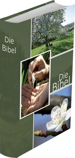 Die Bibel – größere Taschenbibel (Wiese) von Christliche Schriftenverbreitung,  e.V.