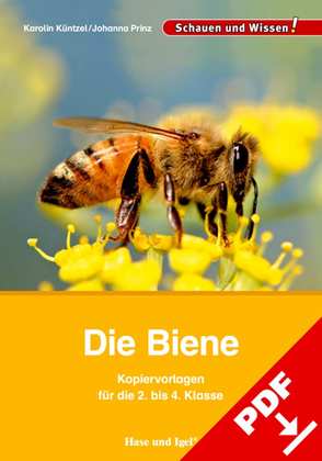 Die Biene – Kopiervorlagen für die 2. bis 4. Klasse von Küntzel ,  Karolin, Prinz,  Johanna