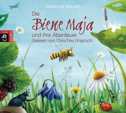 Die Biene Maja und ihre Abenteuer von Bonsels,  Waldemar, Nahrgang,  Frauke, Urspruch,  ChrisTine