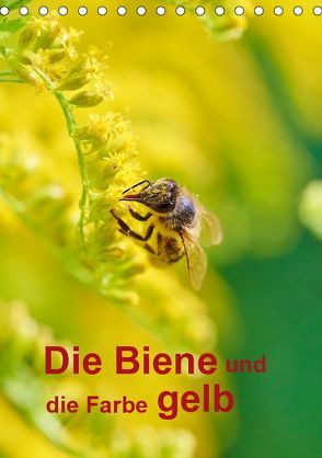 Die Biene und die Farbe gelb (Tischkalender 2019 DIN A5 hoch) von Bangert,  Mark