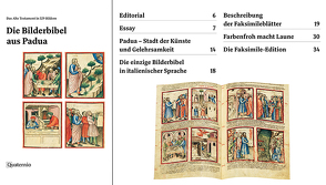 Die Bilderbibel aus Padua von Bauer-Eberhardt,  Ulrike