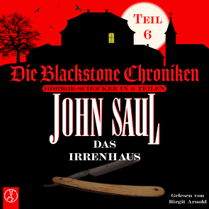 Die Blackstone Chroniken / Das Irrenhaus von Arnold,  Birgit, Saul,  John