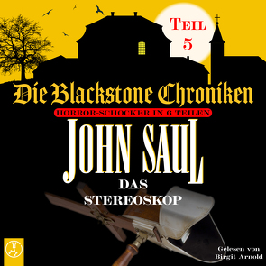 Die Blackstone Chroniken / Das Stereoskop von Arnold,  Birgit, Saul,  John