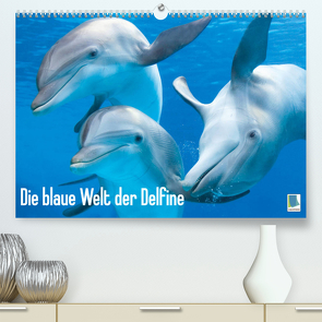 Die blaue Welt der Delfine (Premium, hochwertiger DIN A2 Wandkalender 2023, Kunstdruck in Hochglanz) von CALVENDO