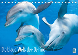 Die blaue Welt der Delfine (Tischkalender 2023 DIN A5 quer) von CALVENDO