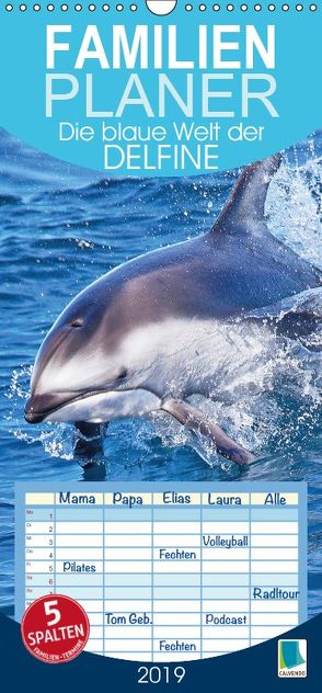 Die blaue Welt der Delfine (Wandkalender 2019 , 21 cm x 45 cm, hoch) von CALVENDO