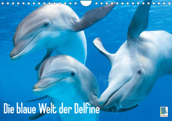 Die blaue Welt der Delfine (Wandkalender 2023 DIN A4 quer) von CALVENDO