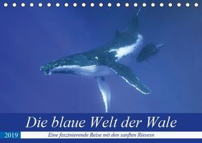 Die blaue Welt der Wale (Tischkalender 2019 DIN A5 quer) von Travelpixx.com