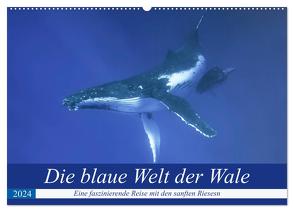 Die blaue Welt der Wale (Wandkalender 2024 DIN A2 quer), CALVENDO Monatskalender von Travelpixx.com,  Travelpixx.com