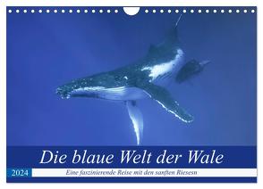 Die blaue Welt der Wale (Wandkalender 2024 DIN A4 quer), CALVENDO Monatskalender von Travelpixx.com,  Travelpixx.com
