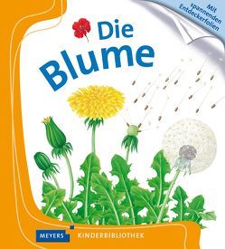 Die Blume von Schönfeldt,  Sybil Gräfin