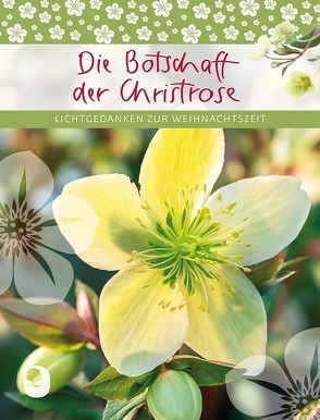 Die Botschaft der Christrose von Osenberg-van Vugt,  Ilka (Hrsg)