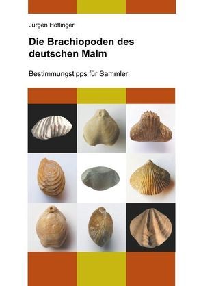 Die Brachiopoden des deutschen Malm von Höflinger,  Jürgen