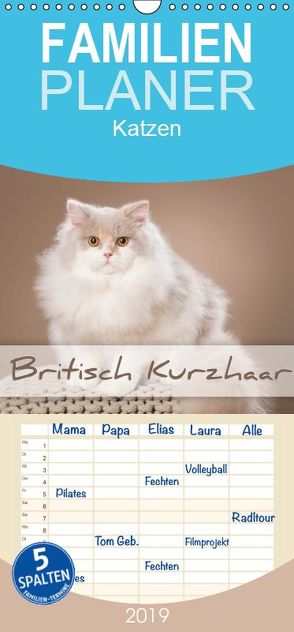 Die Britisch Kurzhaar Katze – Familienplaner hoch (Wandkalender 2019 , 21 cm x 45 cm, hoch) von Bildarchiv,  Trio