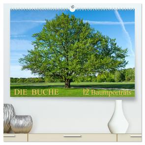 Die Buche: 12 Baumporträts (hochwertiger Premium Wandkalender 2024 DIN A2 quer), Kunstdruck in Hochglanz von Balzer,  Tatjana