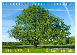 Die Buche: 12 Baumporträts (Tischkalender 2024 DIN A5 quer), CALVENDO Monatskalender von Balzer,  Tatjana
