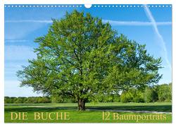 Die Buche: 12 Baumporträts (Wandkalender 2024 DIN A3 quer), CALVENDO Monatskalender von Balzer,  Tatjana